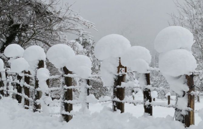 Caprichos de nieve: foto en Zumarraga