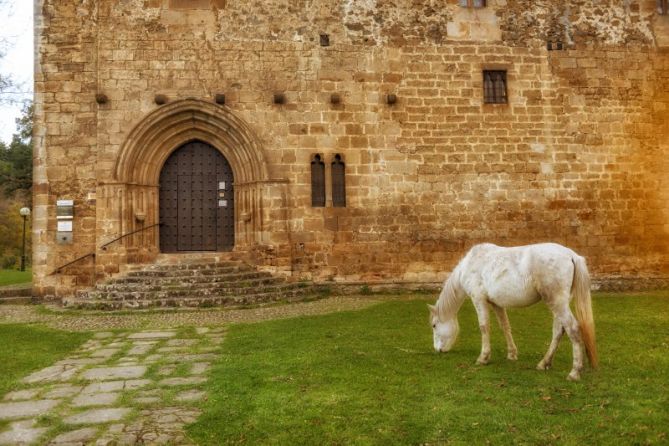 "LA CATEDRAL ": foto en Zumarraga