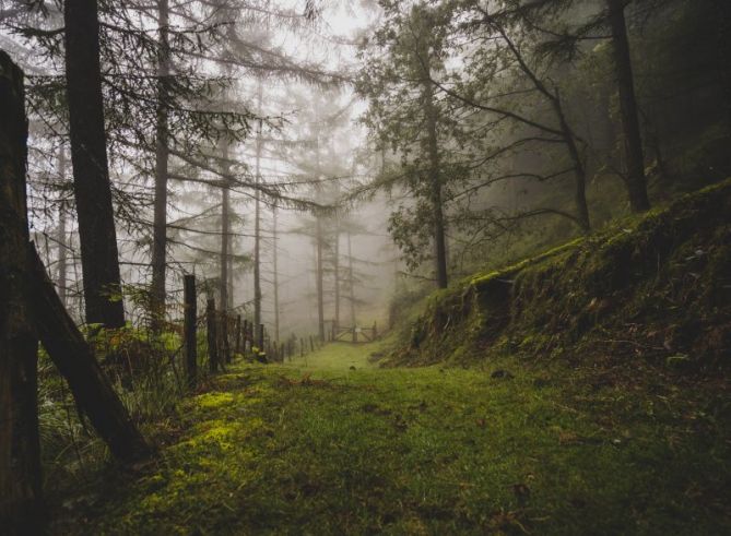 La comarca: foto en Oiartzun