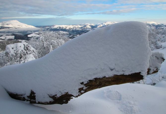 Copiosa nevada: foto en Zumarraga