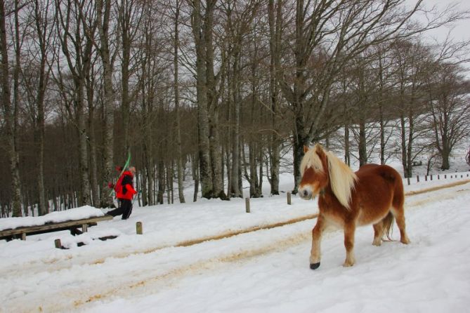 Cruce de amigos: foto en Zegama