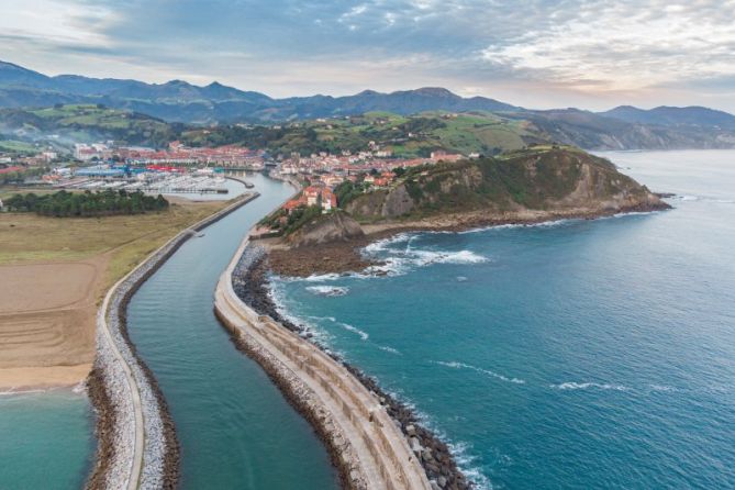 Cual gaviota: foto en Zumaia