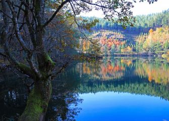 el duendecillo del lago