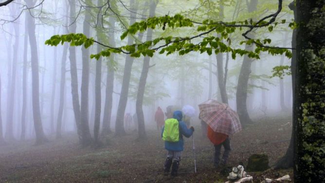 Entre niebla : foto en Oñati