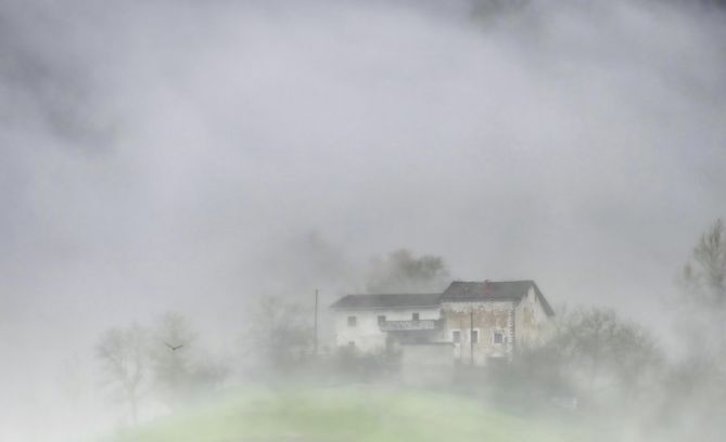 ENTRE LA NIEBLA: foto en Bergara