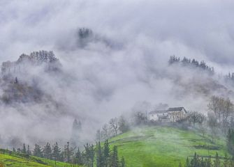 ENTRE LA NIEBLA II