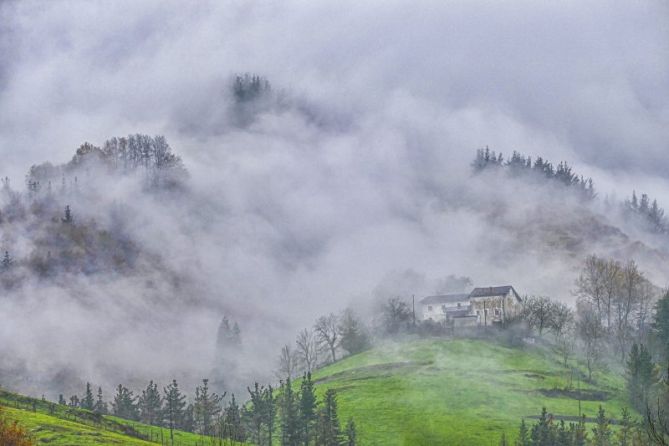 ENTRE LA NIEBLA II: foto en Bergara