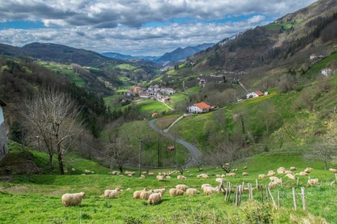 Entre ovejas: foto en Errezil