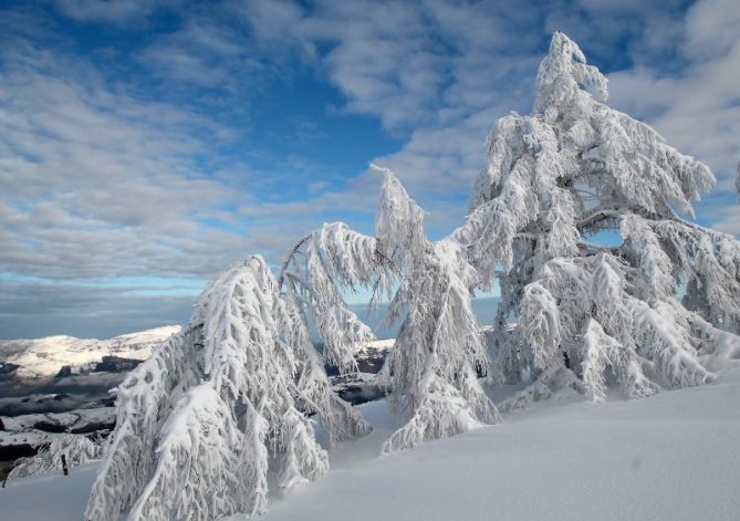 Esculturas de hielo: foto en Zumarraga