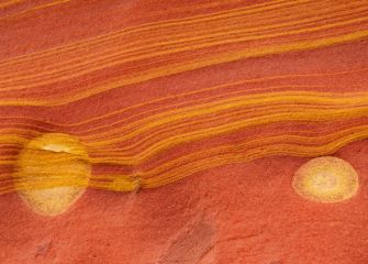 Fosiles en Jaizkibel