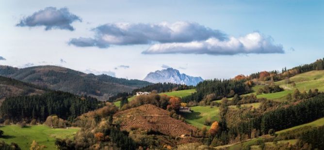 Gipuzkoa otoñal: foto en Zumarraga