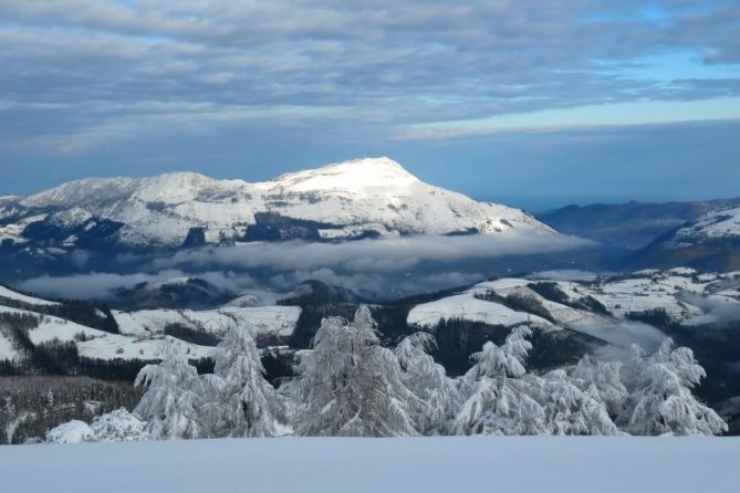 Gran nevada: foto en Zumarraga