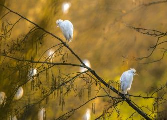Guardando la distancia