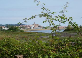 Hondarribia desde Plaiaundi