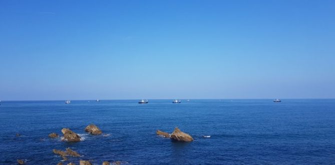 Itsasontziak arrantzan: foto en Getaria