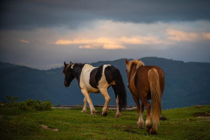 JAIZKIBEL: foto en Hondarribia