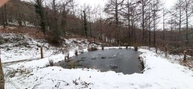 Laguna helada en Oiartzun.: foto en Oiartzun