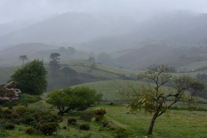 LAINOA-NIEBLA: foto en Pasaia