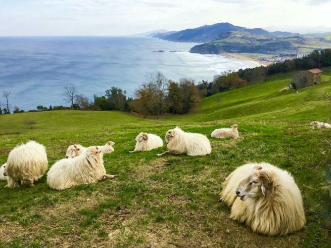 Lasai lasai ( Santa Barbaran): foto en Zarautz