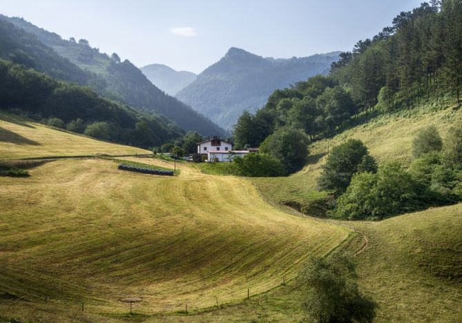 Lastur: foto en Deba