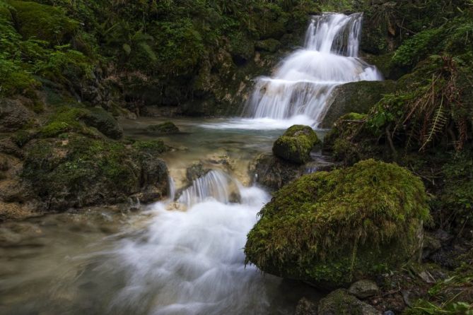 Lastur: foto en Deba