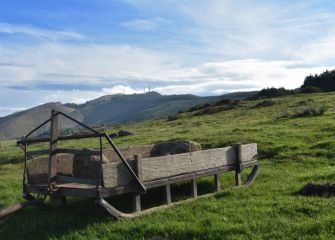 LERA-CARRO SIN RUEDAS