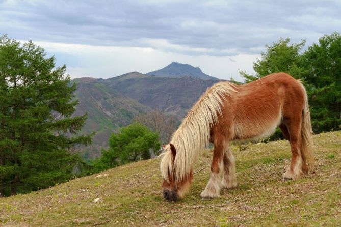 Al límite de Gipuzkoa: foto en Irun