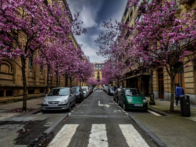 Y llegó la primavera: foto en Donostia-San Sebastián