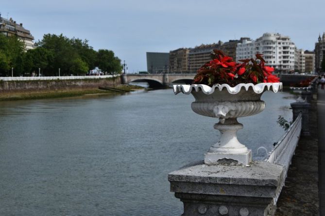 LOREONTZI-MACETERO: foto en Donostia-San Sebastián