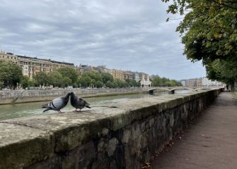 Los amantes del Urumea