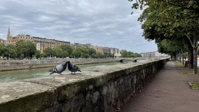 Los amantes del Urumea: foto en Donostia-San Sebastián