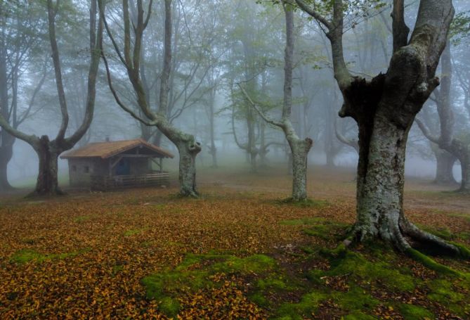 Los guardianes del refugio: foto en Oiartzun