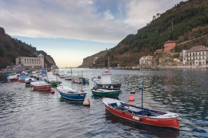 Los "peques" del puerto: foto en Pasaia