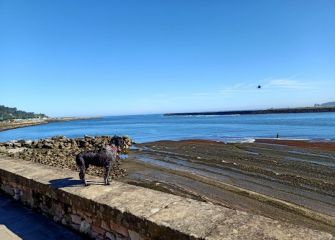 Mediodía espléndido