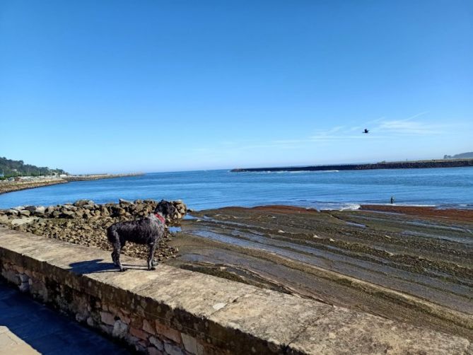 Mediodía espléndido: foto en Hondarribia