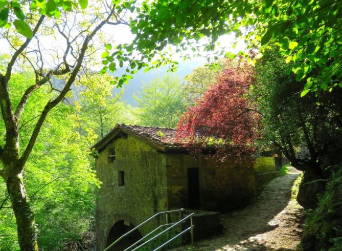 Molino: foto en Ataun