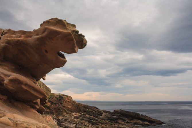 El "monstruo" de Jaizkibel: foto en Hondarribia