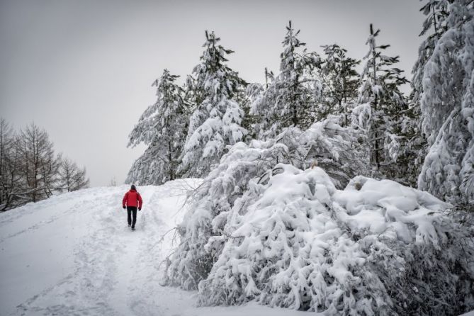 El montañero solitario: foto en Urretxu