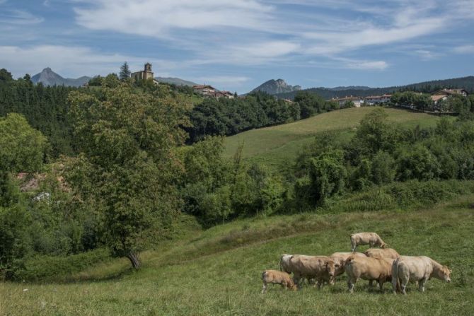 Monte,Iglesia y Pueblo: foto en Olaberria