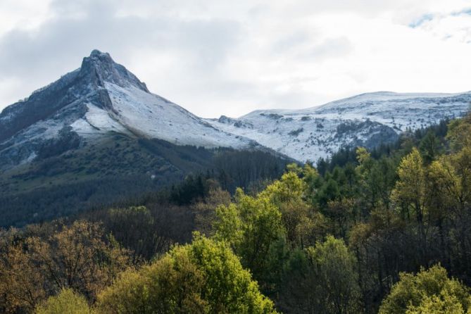 nañarri: foto en Zaldibia