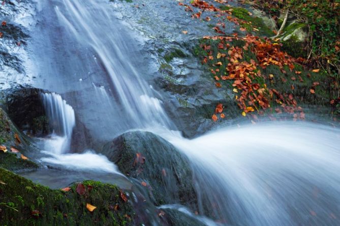 Natura: foto en Ataun