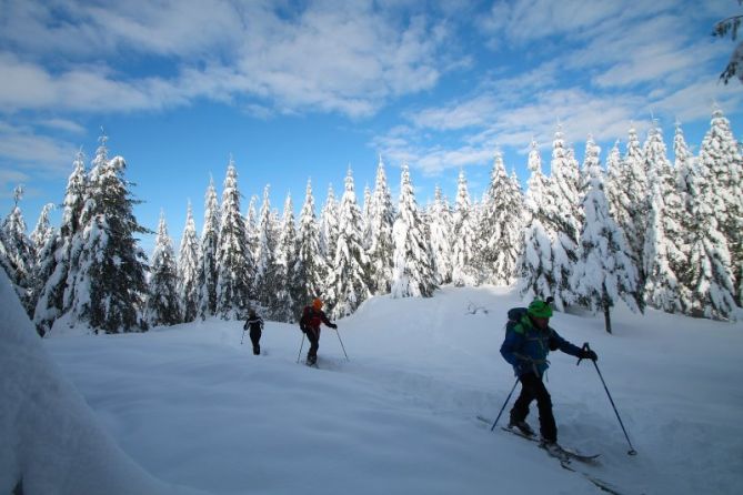 Nordico paisaje: foto en Zumarraga