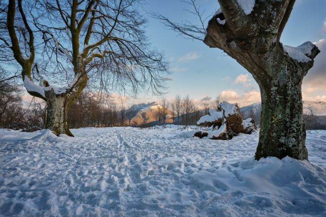 Oianleku Aiako Arria elurtuta: foto en Oiartzun