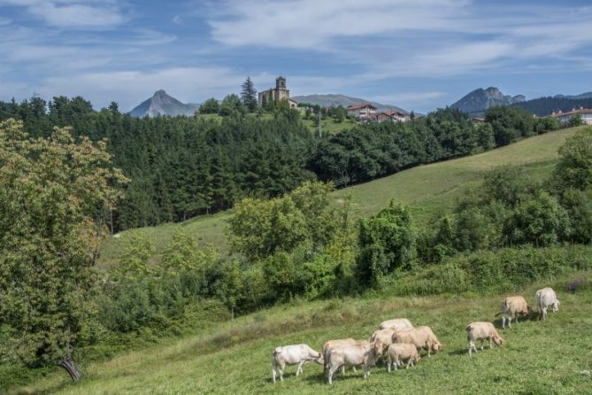 olaberria: foto en Olaberria