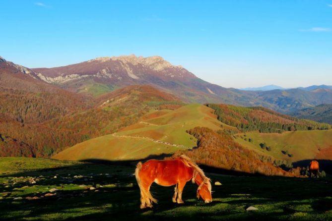 Otoño en aizkorri: foto en Zegama