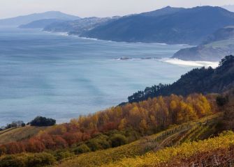 Otoño en la costa