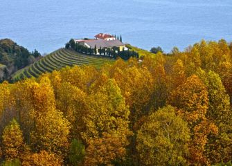 Otoño en Getaria 