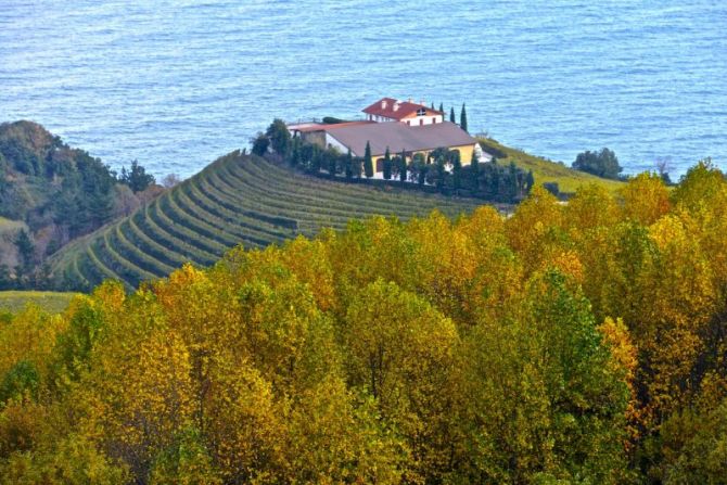 Otoño en Getaria : foto en Getaria