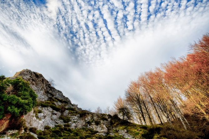 Otzaurte: foto en Zegama