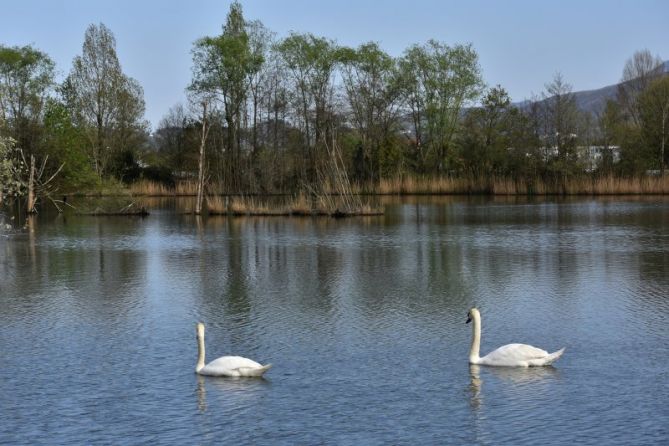 PADURAKO URETAN-EN AGUAS DE LA MARISMA: foto en Hondarribia